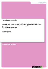 Archimedes Principle, Gaspycnometer and Geopycnometer - Amalia Aventurin - E-Book
