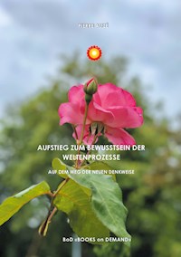 Aufstieg zum Bewusstsein der Weltprozesse - Pierre Alizé - E-Book