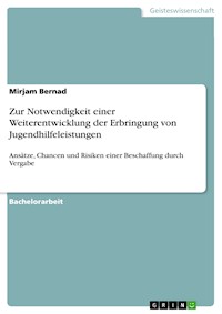 Zur Notwendigkeit einer Weiterentwicklung der Erbringung von Jugendhilfeleistungen - Mirjam Bernad - E-Book