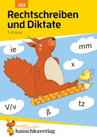Deutsch 3. Klasse Übungsheft - Rechtschreiben und Diktate - Gerhard Widmann - E-Book