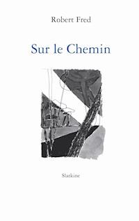 Sur le Chemin - Robert Fred - E-Book