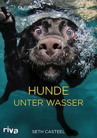 Hunde unter Wasser - Seth Casteel - E-Book