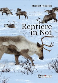 Rentiere in Not - Herbert Friedrich - E-Book
