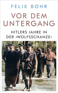 Vor dem Untergang - Felix Bohr - E-Book