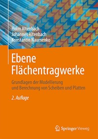 Ebene Flächentragwerke - Holm Altenbach - E-Book