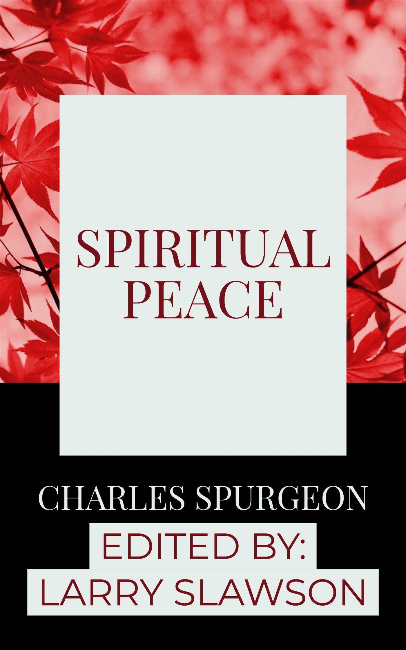 Spiritual Peace - Larry Slawson - E-Book