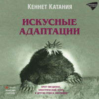 Искусные адаптации - Кеннет Катания - Hörbuch