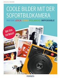 Coole Bilder mit der Sofortbildkamera - Antonino Zambito - E-Book