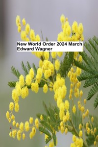 New World Order - 2024 March - Eduard Wagner - E-Book