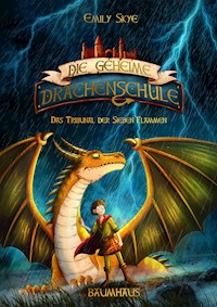 Die geheime Drachenschule - Das Tribunal der Sieben Flammen - Emily Skye - E-Book