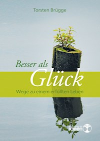 Besser als Glück - Torsten Brügge - E-Book