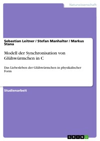 Modell der Synchronisation von Glühwürmchen in C - Sebastian Leitner - E-Book