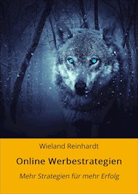 Online Werbestrategien - Wieland Reinhardt - E-Book