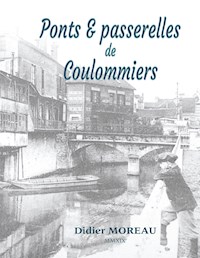 Ponts & passerelles de Coulommiers - Didier Moreau - E-Book
