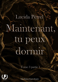 Maintenant, tu peux dormir - Tome 3 - Partie 1 - Lucida Pétrel - E-Book