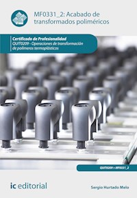 Acabado de transformados poliméricos. QUIT0209 - Sergio Hurtado Melo - E-Book