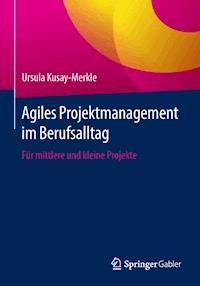 Agiles Projektmanagement im Berufsalltag - Ursula Kusay-Merkle - E-Book