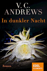 In dunkler Nacht - V.C. Andrews - E-Book