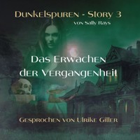 Dunkelspuren - Story 3 - Sally Rays - Hörbuch