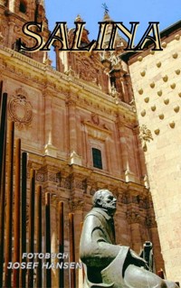 Salina - Josef Hansen - E-Book