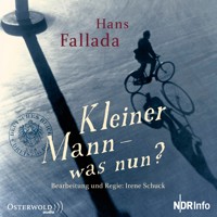 Kleiner Mann - was nun? - Hans Fallada - Hörbuch