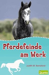 Pferdefeinde am Werk - Judith M. Berrisford - E-Book