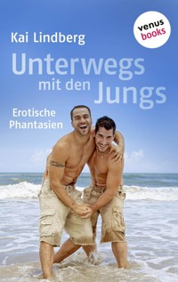 Fuck Buddies - Band 2: Unterwegs mit den Jungs - Kai Lindberg - E-Book