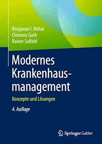Modernes Krankenhausmanagement - Benjamin I. Behar - E-Book