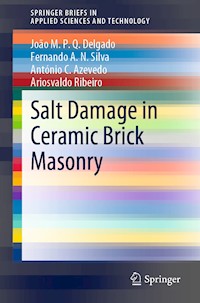 Salt Damage in Ceramic Brick Masonry - João M.P.Q. Delgado - E-Book