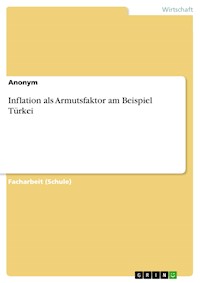 Inflation als Armutsfaktor am Beispiel Türkei -  - E-Book