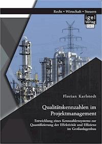 Qualitätskennzahlen im Projektmanagement: Entwicklung eines Kennzahlensystems zur Quantifizierung der Effektivität und Effizienz im Großanlagenbau - Florian Karlstedt - E-Book