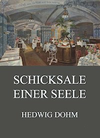 Schicksale einer Seele - Hedwig Dohm - E-Book