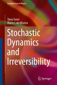 Stochastic Dynamics and Irreversibility - Tânia Tomé - E-Book
