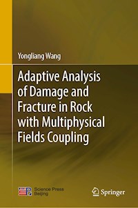 Adaptive Analysis of Damage and Fracture in Rock with Multiphysical Fields Coupling - Yongliang Wang - E-Book