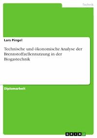 Technische und ökonomische Analyse der Brennstoffzellennutzung in der Biogastechnik - Lars Pingel - E-Book