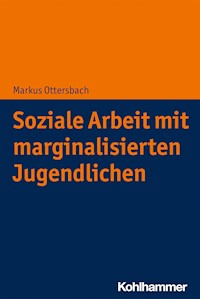 Soziale Arbeit mit marginalisierten Jugendlichen - Markus Ottersbach - E-Book