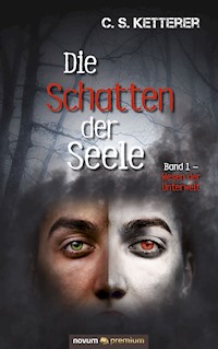 Die Schatten der Seele - C. S. Ketterer - E-Book