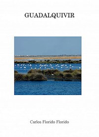 Guadalquivir - Carlos Florido - E-Book