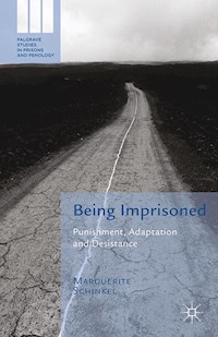 Being Imprisoned - M. Schinkel - E-Book