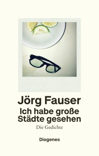 Ich habe große Städte gesehen - Jörg Fauser - E-Book