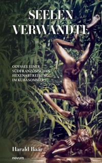 Seelenverwandte - Harald Baar - E-Book