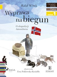 Wyprawa na biegun - O ekspedycji Amundsena - Rafał Witek - E-Book