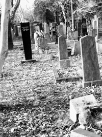 Der schwarze Rabe - erich kaiser - E-Book