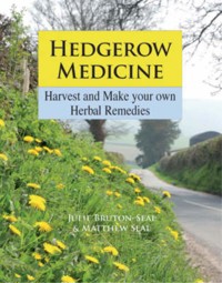 Hedgerow Medicine - Julie Bruton-Seal - E-Book