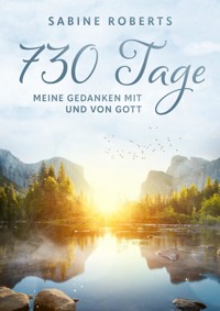 730 Tage - Meine Gedanken mit und von Gott - Sabine Roberts - E-Book