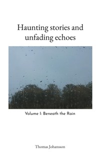 Haunting stories and unfading echoes - Thomas Johansson - E-Book