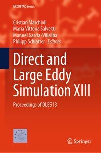 Direct and Large Eddy Simulation XIII -  - E-Book