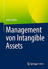 Management von Intangible Assets - Armin Müller - E-Book