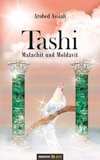 Tashi – Malachit und Moldavit - Arobed Assiah - E-Book