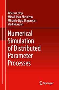 Numerical Simulation of Distributed Parameter Processes - Tiberiu Colosi - E-Book